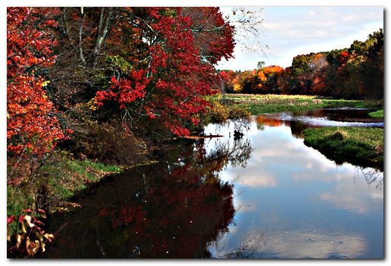 assabet river fall2